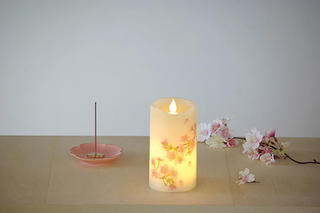 2いろはあかり桜.jpg
